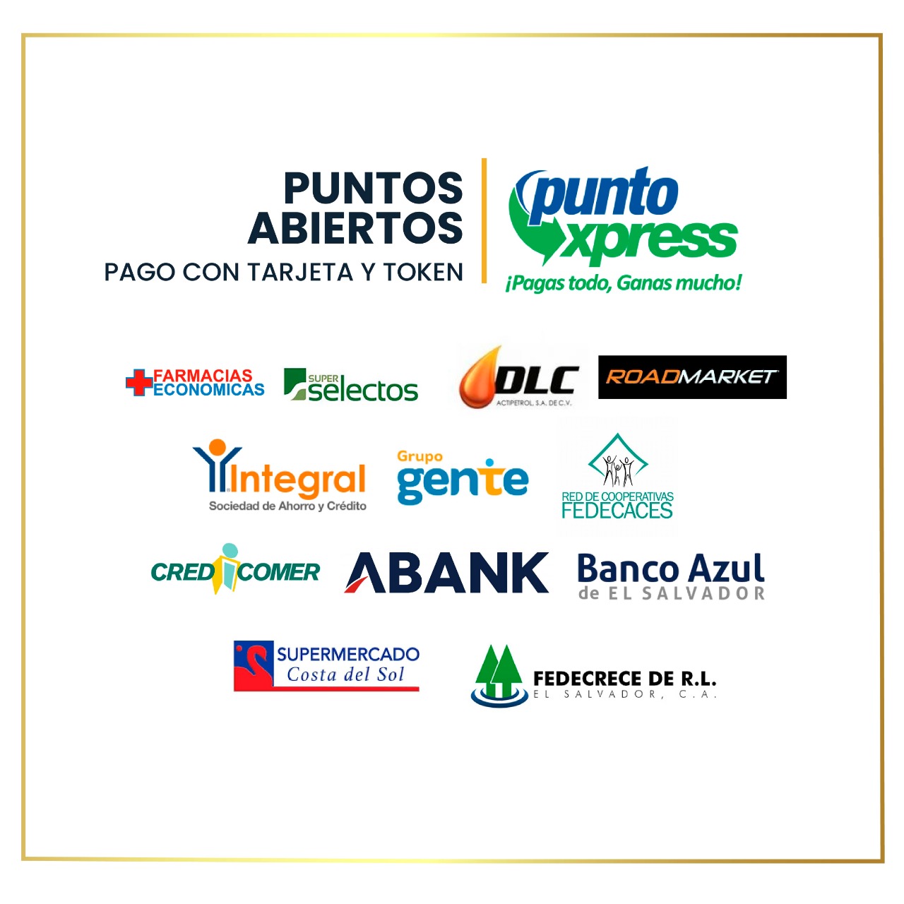 Punto de pago 11